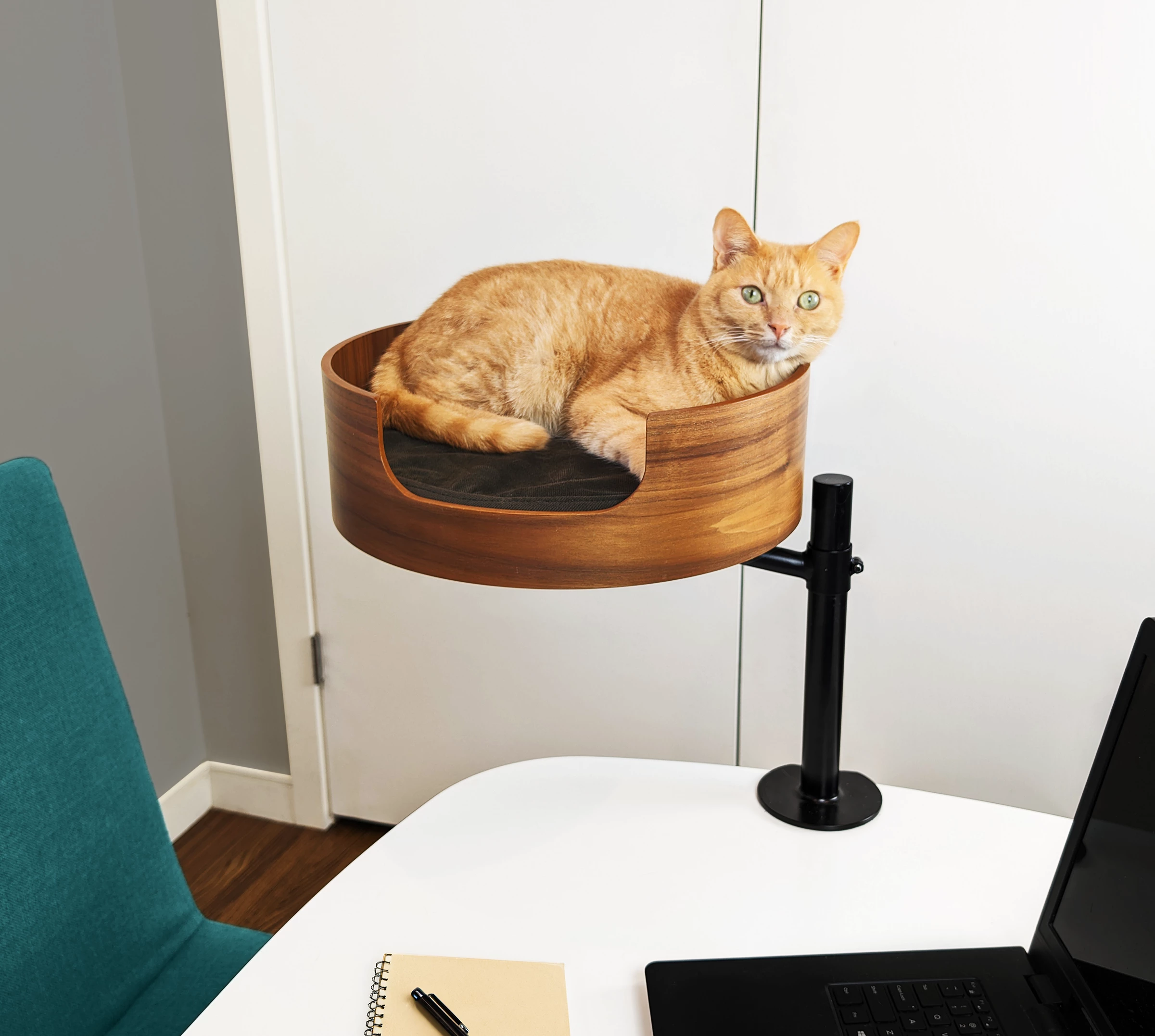 Match the Desk Nest to your cat