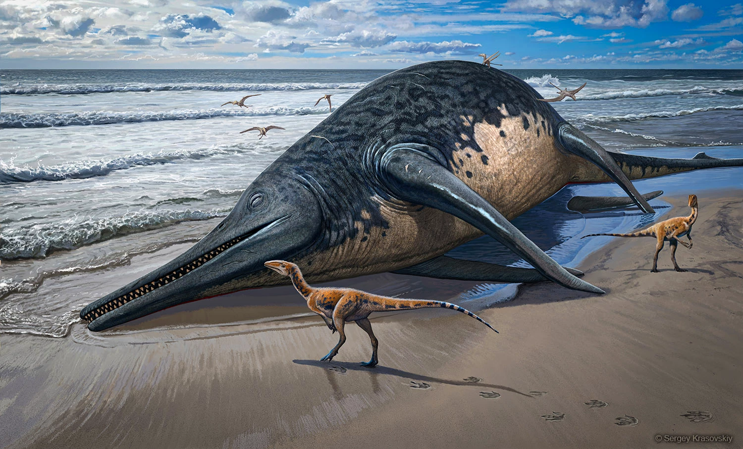 An artist's impression of Ichthyotitan severnensis washed up on a beach, while some curious dinosaurs investigate
