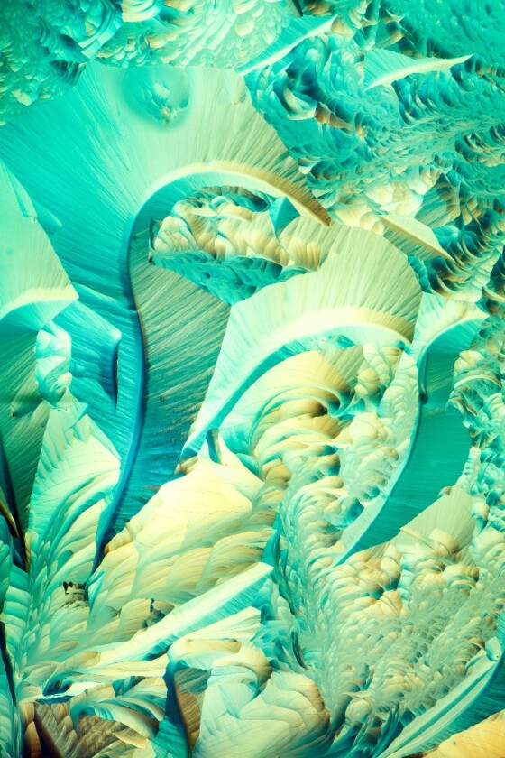 L-Glutamine and Beta alanine