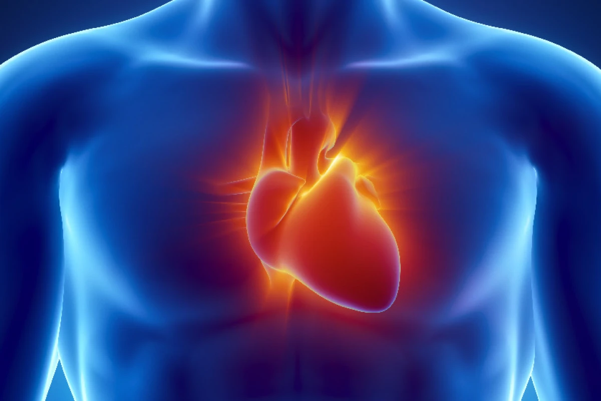 The exosomes from stem cells may be a useful tool in mitigating damage caused by heart attacks