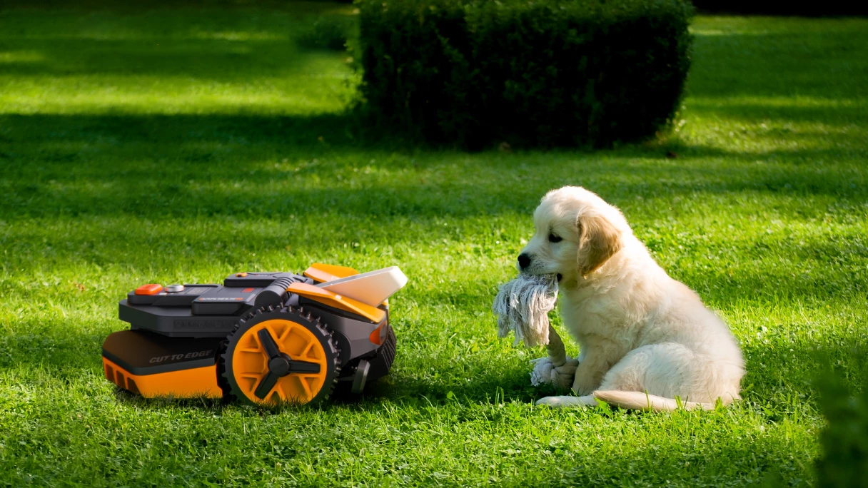 Never once did we worry the Landroid was going to mow a pet, toy or small child. Anything on the ground is safe