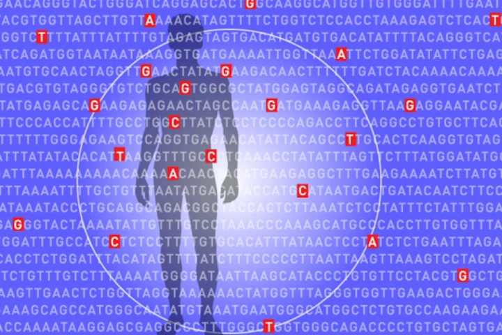 The algorithm examines millions of places in a single genome to calculate a person's overall genomic risk factor for developing certain diseases