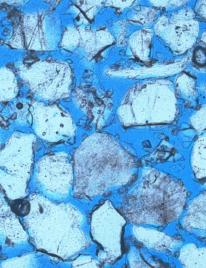 A solution of calcium chloride, urea and nutrient broth is then pumped into the mold