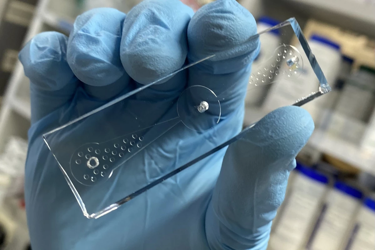 The prototype device is currently claimed to be 70 percent accurate at detecting lung cancer cells using roundworms