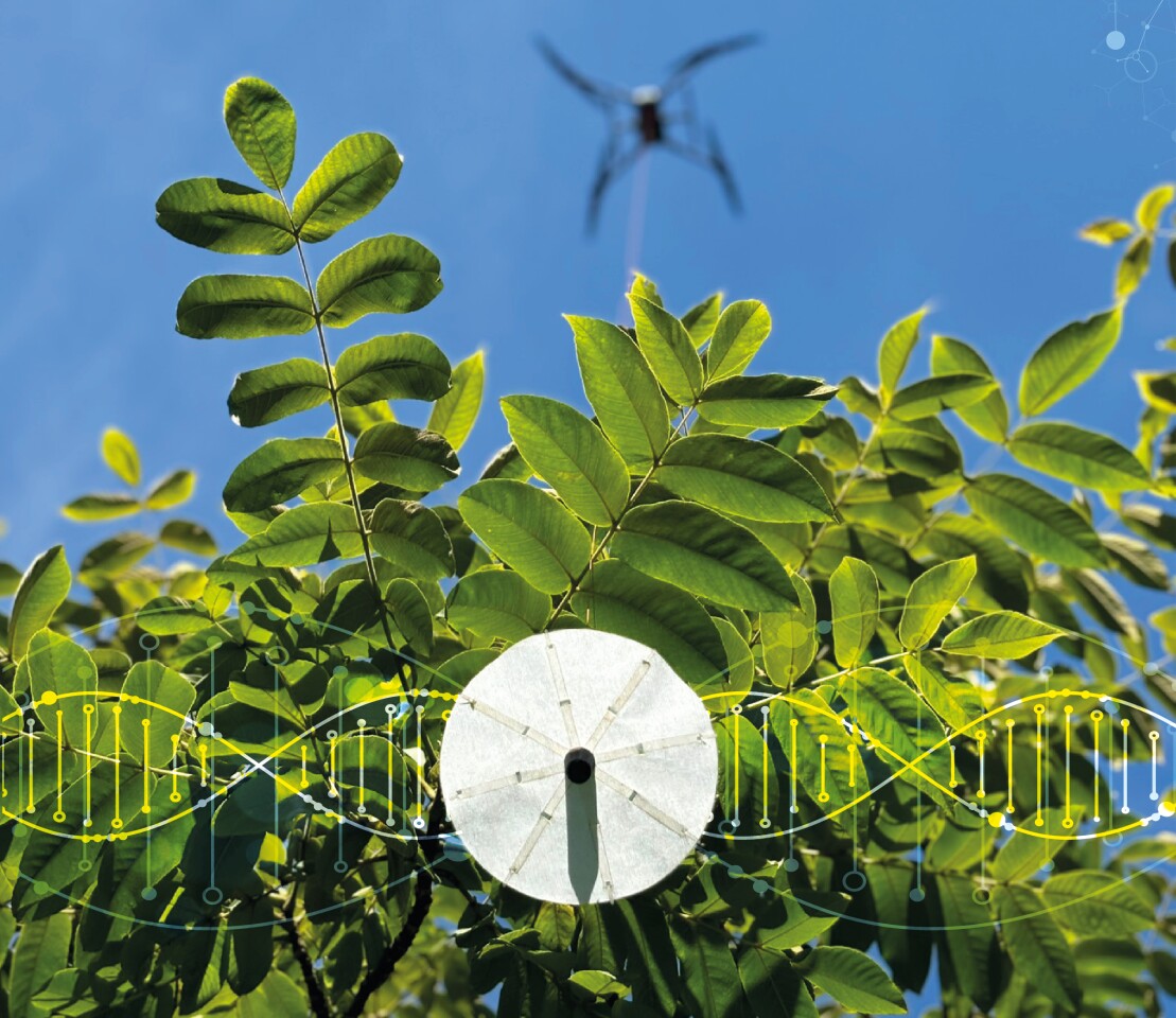 Looking a bit like a coffee filter, the probe incorporates fiberglass ribs for added rigidity