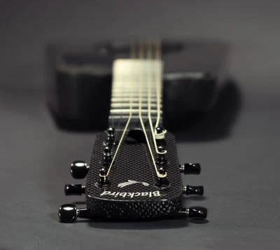 Blackbird's Rider carbon fibre acoustic guitar