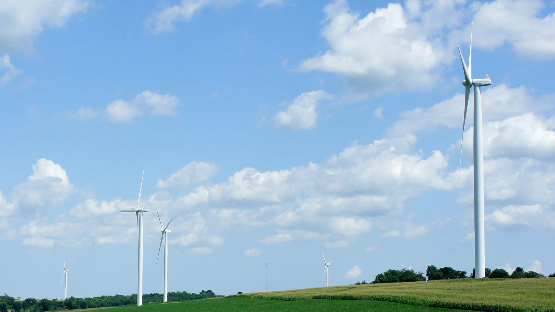 Chinese researchers have developed a biologically inspired control system for wind turbines