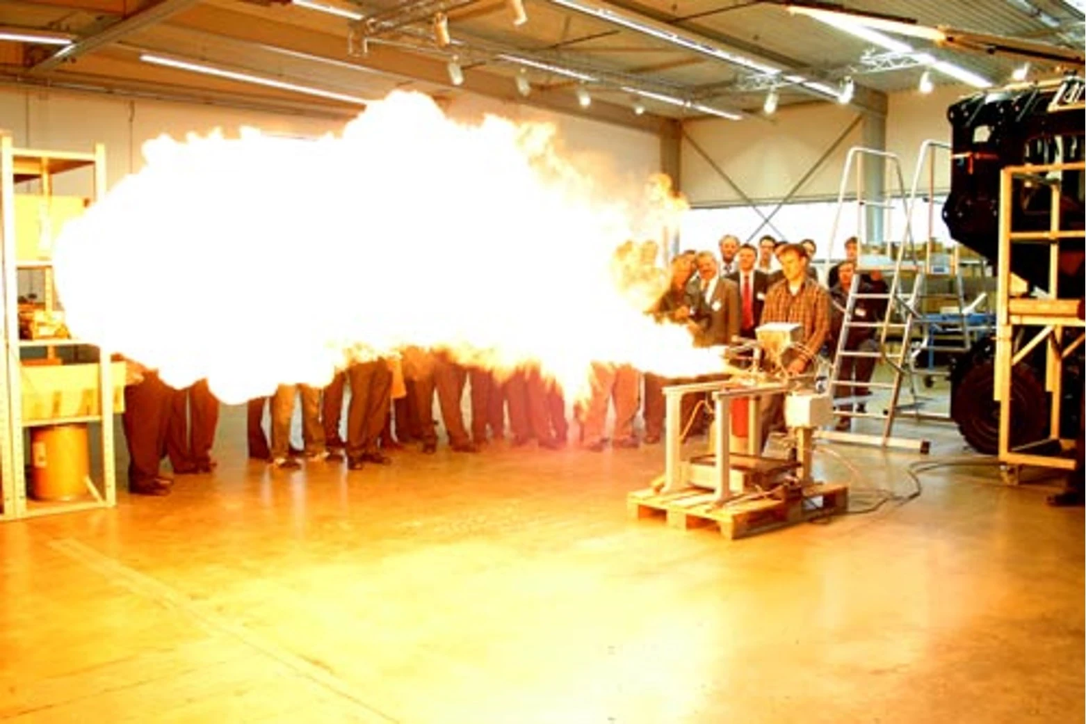 of course, Tradinno breathes fire