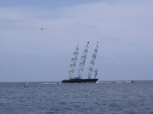 The Maltese Falcon