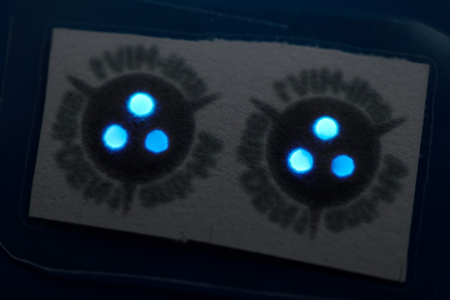 This paper strip contains two copies of the kit – the three glowing dots per test indicate that you can check on three different antibodies at once