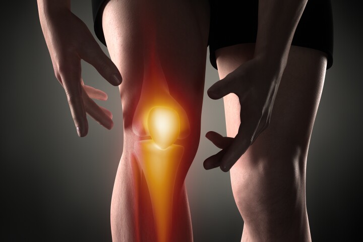 Scientists have used engineered nasal cartilage cells to repair osteoarthritic knees, and their potential might not end there