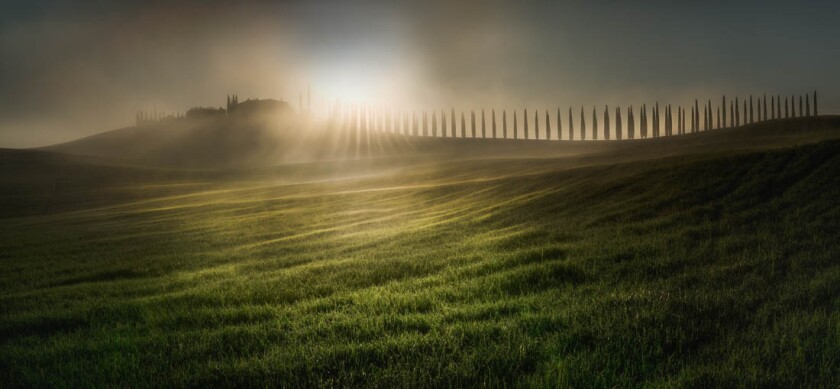 Open Photographer of the Year. Winner, Nature / Landscape. Combing The Sunlight, Tuscany, Italy
