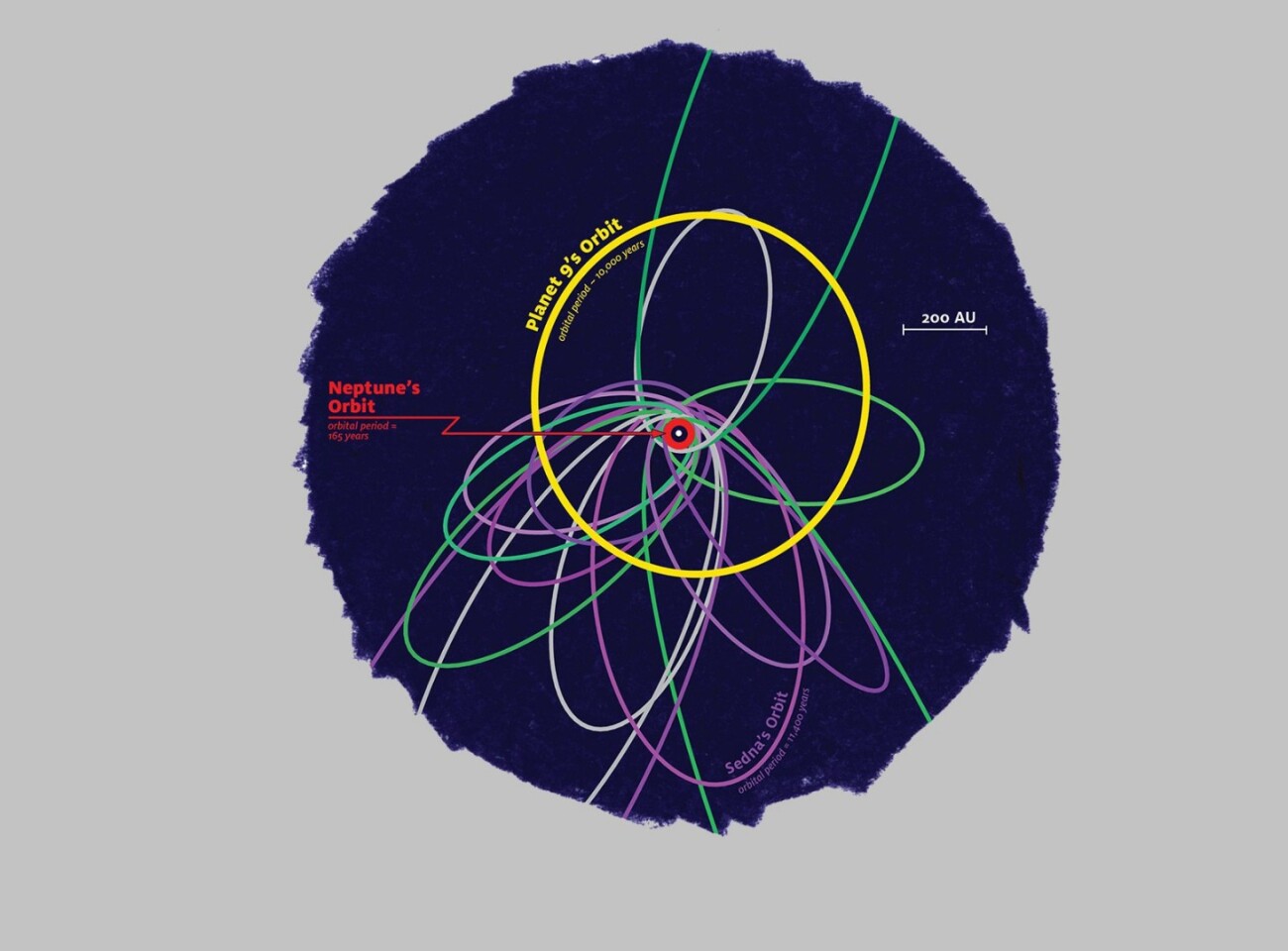 The orbits of objects in the distant solar system: those in green are linked to Neptune, while those in purple are believed to be controlled by the hypothetical Planet Nine (yellow)