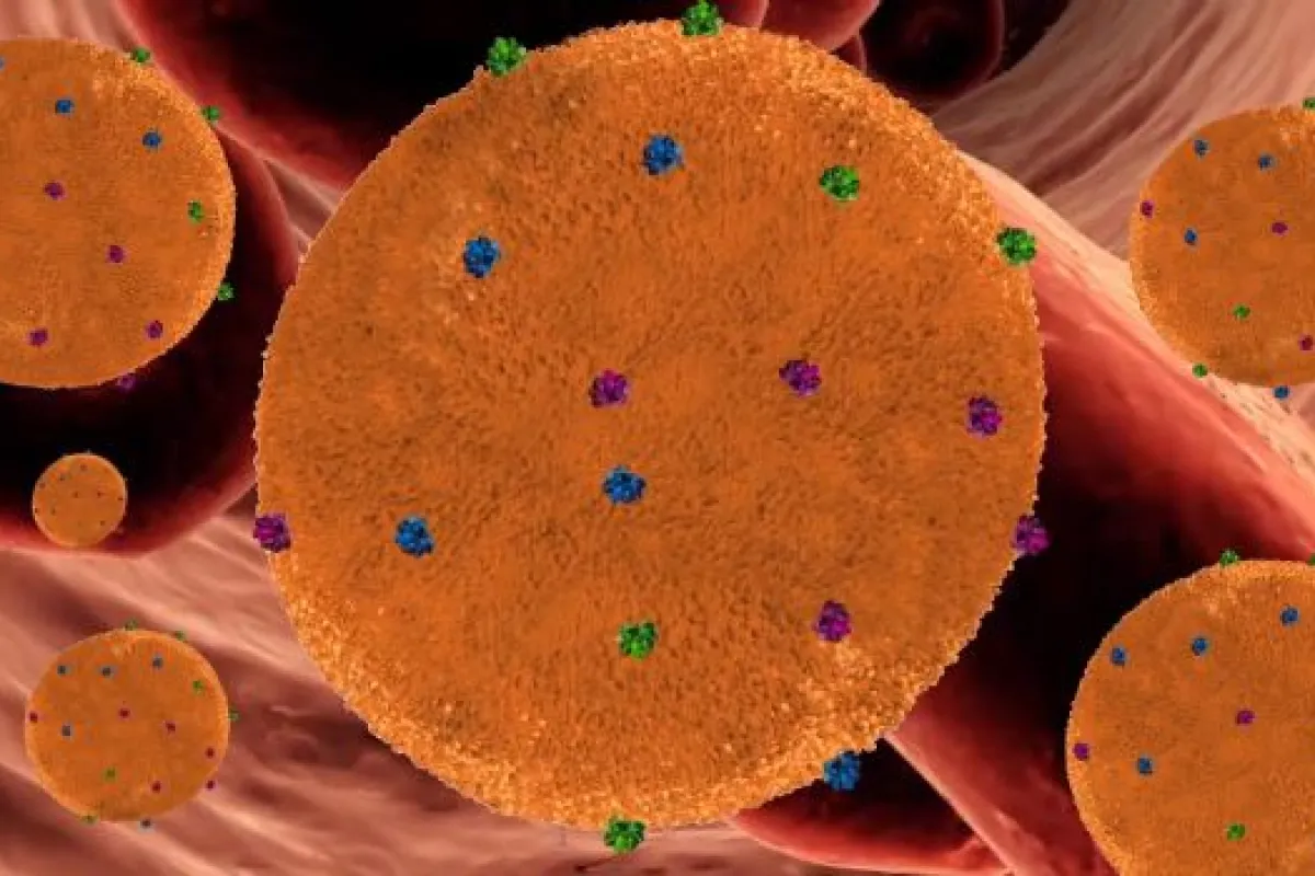 A rendering of the nanosponges attracting bloodstream-borne toxins