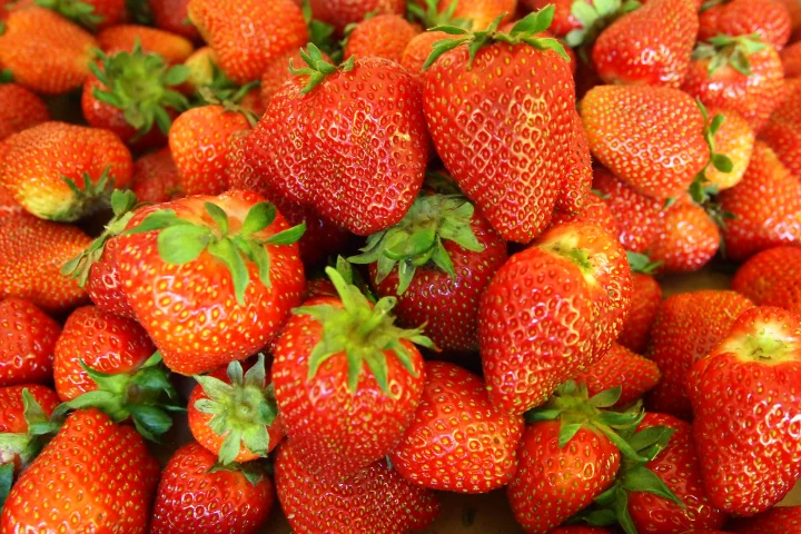 As compared to an untreated control group, strawberry plants treated with either of two commonly used fungicides were found to produce berries with lower levels of soluble sugars