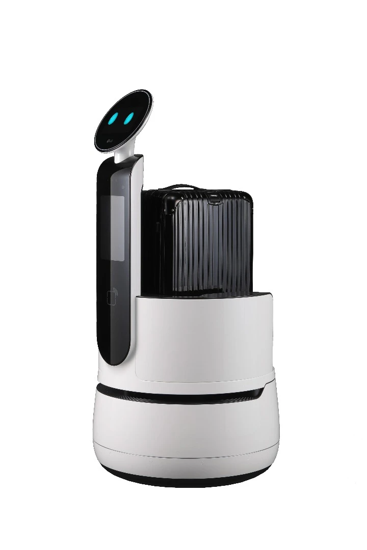 The Porter robot