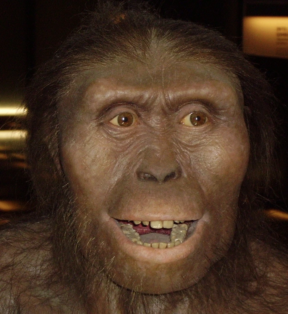 'Lucy' is one of the oldest and most complete fossil hominin skeletons ever discovered