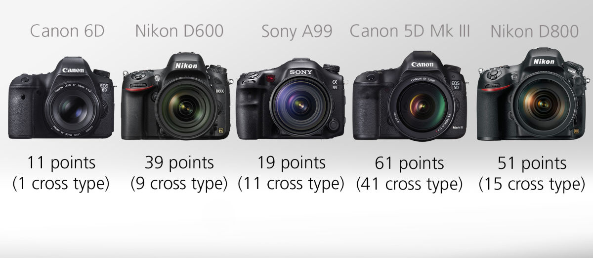 Full Frame DSLR Comparison Guide - Auto Focus