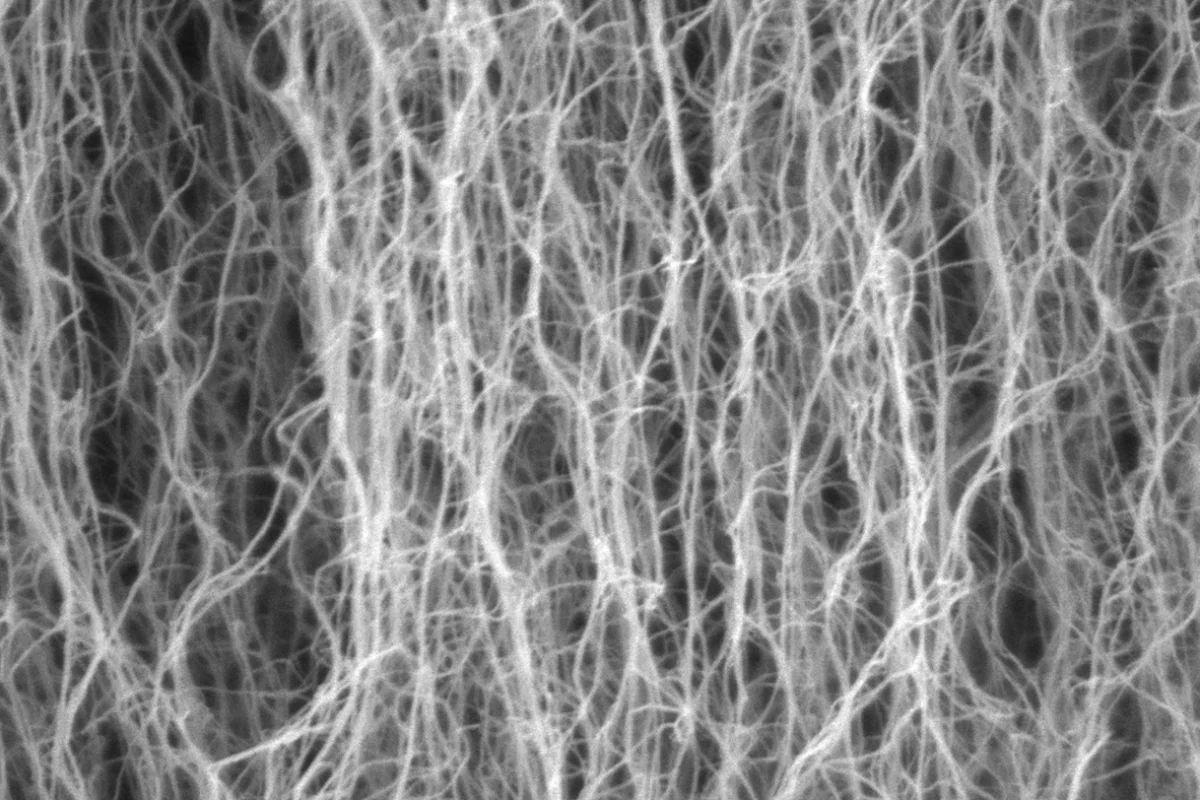 A zoomed-in view of the carbon nanotubes, arranged vertically in what the researchers describe as being "like trees in a forest"