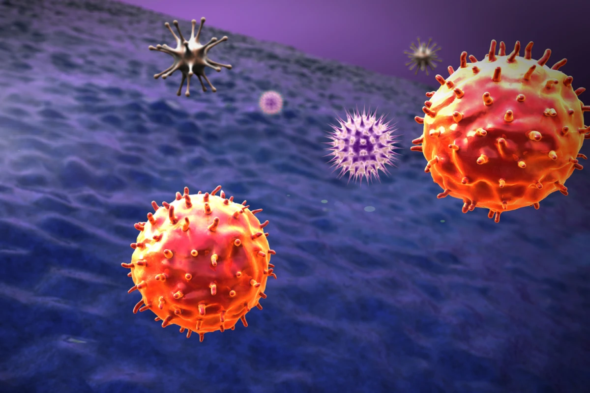 Scientists have discovered a protein that is shown to boost the presence of cancer-fighting T cells (Image: Shutterstock)