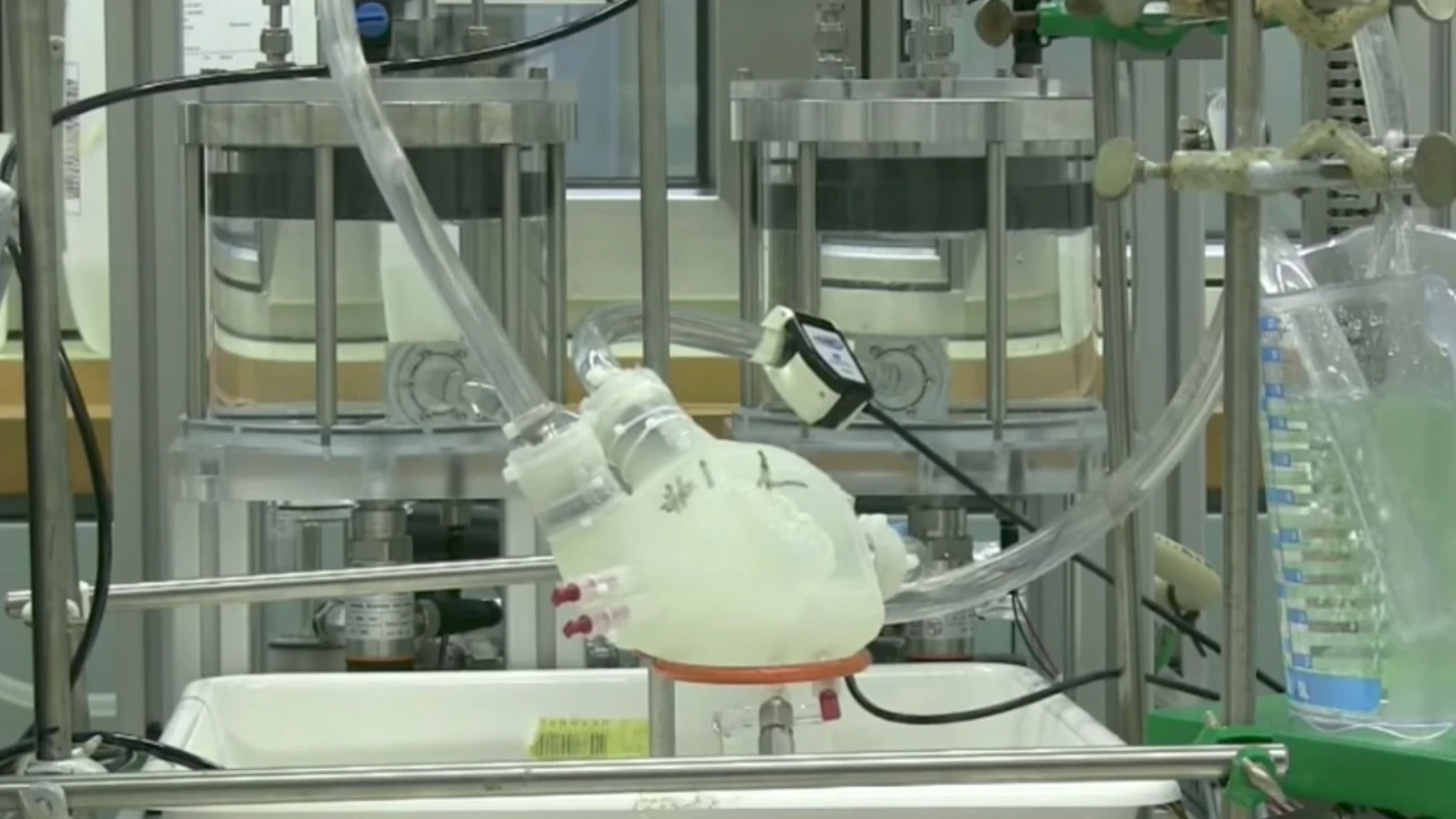 The soft artificial heart in action