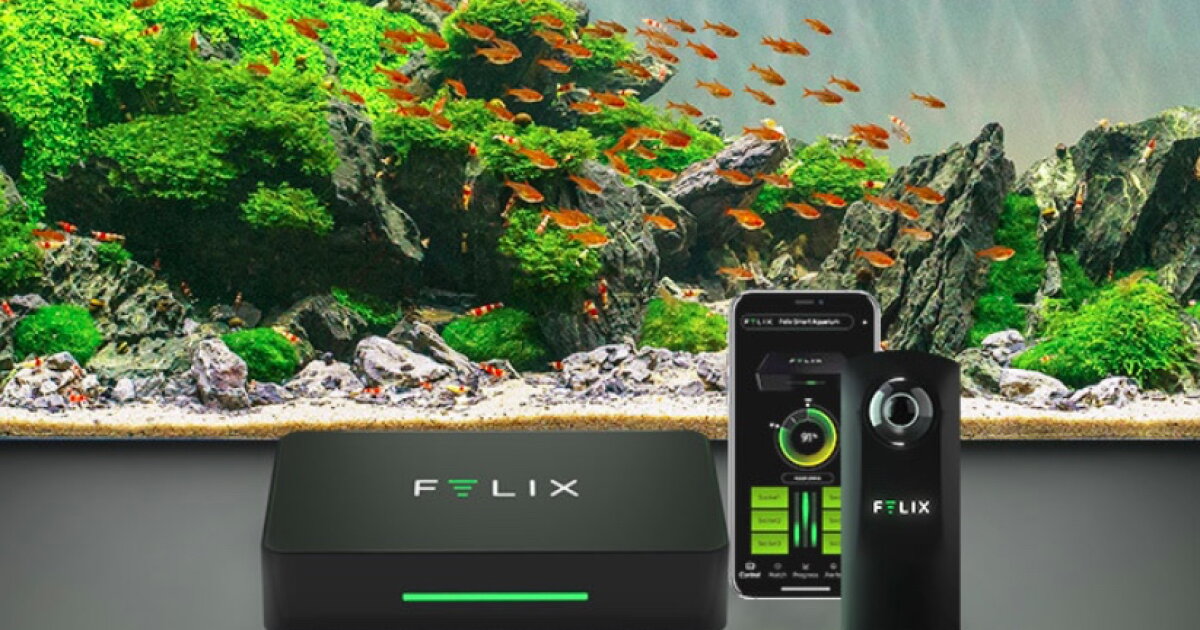 Smart aquarium system utilizes a 360-degree underwater webcam