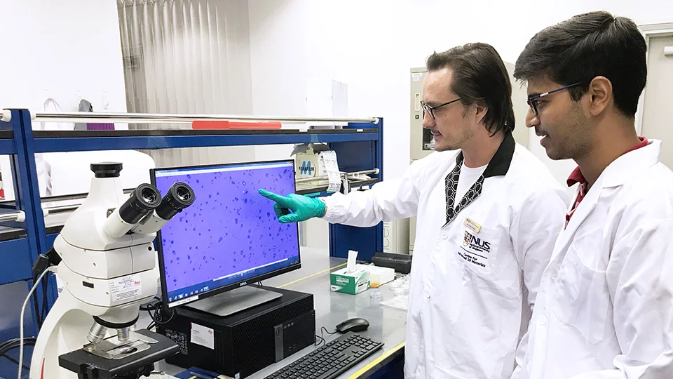 Researchers from the NUS Centre for Advanced 2D Materials assess the quality of graphene samples
