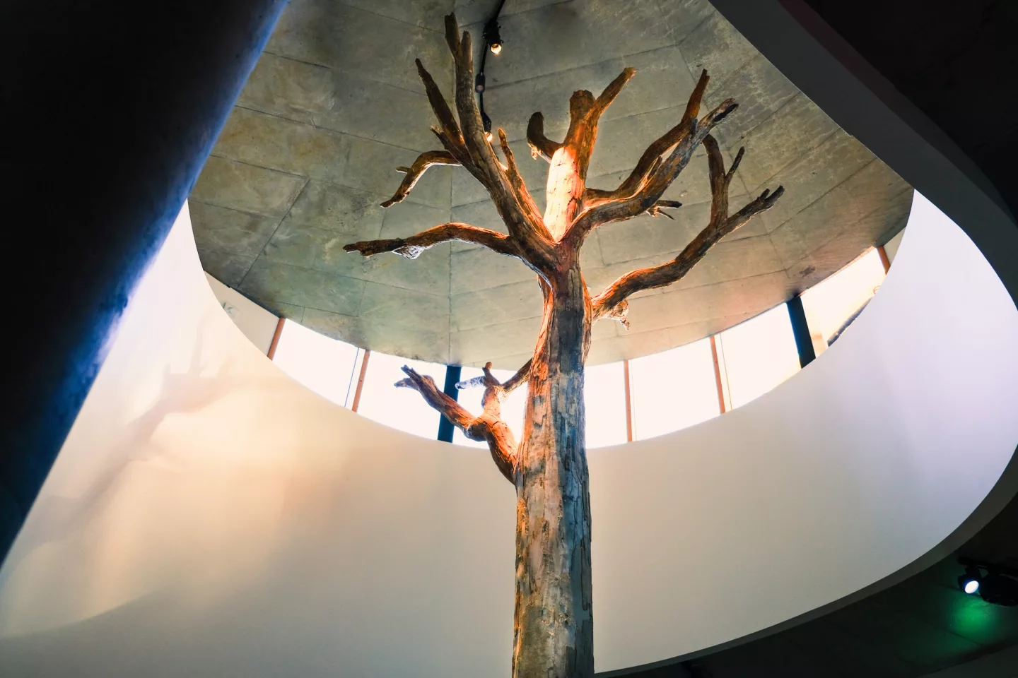 The H.C. Andersen Hus was inspired by Andersen's fairytale The Tinderbox, in which a tree reveals an underground world