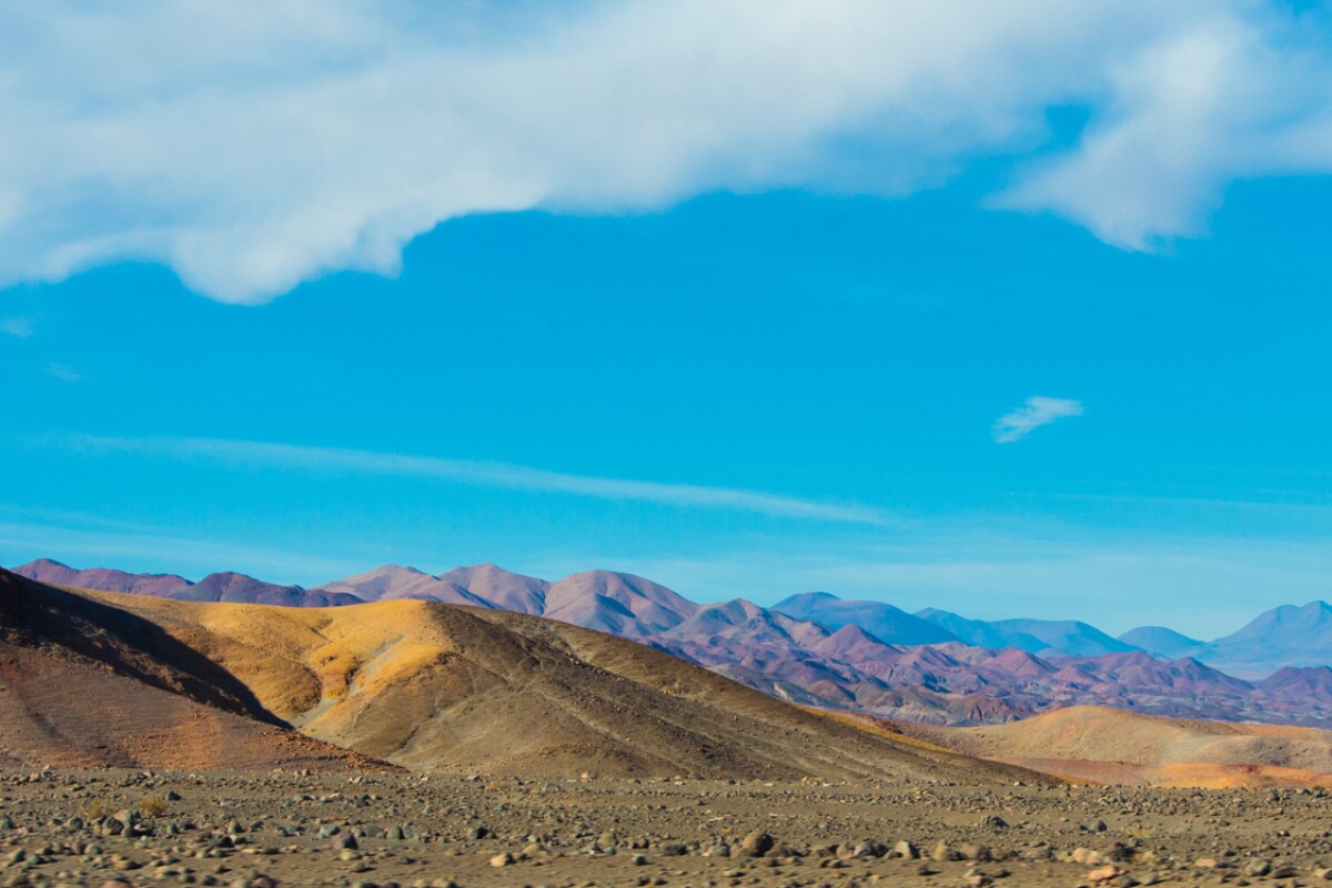 The discovery of bacterial colonies in the Atacama Desert suggests similar life could have survived on Mars