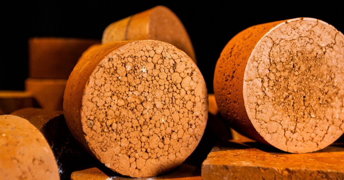 Environmentallyfriendly bricks made from sewagetreatment byproduct