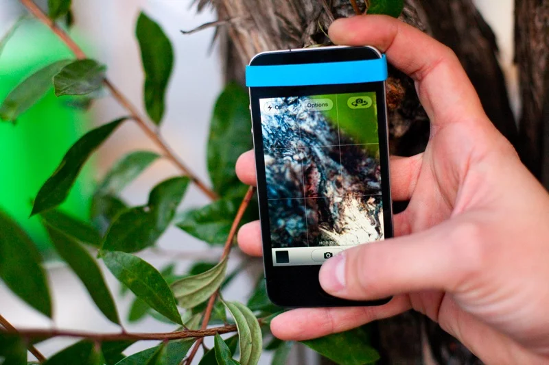 The Macro Cell Lens Band captures good close-up detail