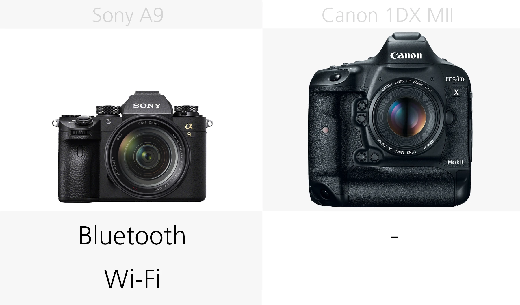 Comparing the wireless conectivity of the Sony A9 and Canon 1DX Mark II