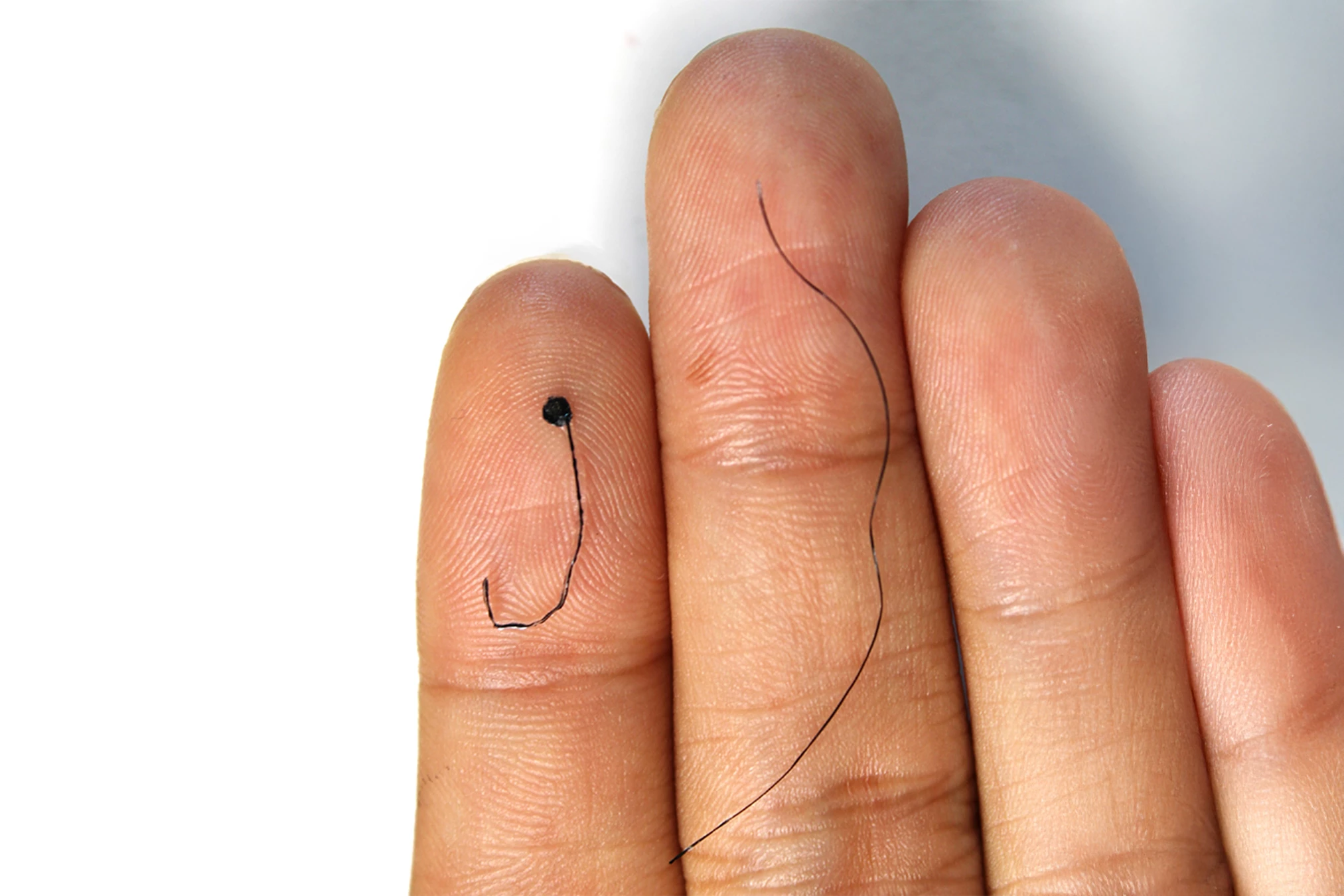 The hairlike electrode (on the left) compared with an actual human hair (right)