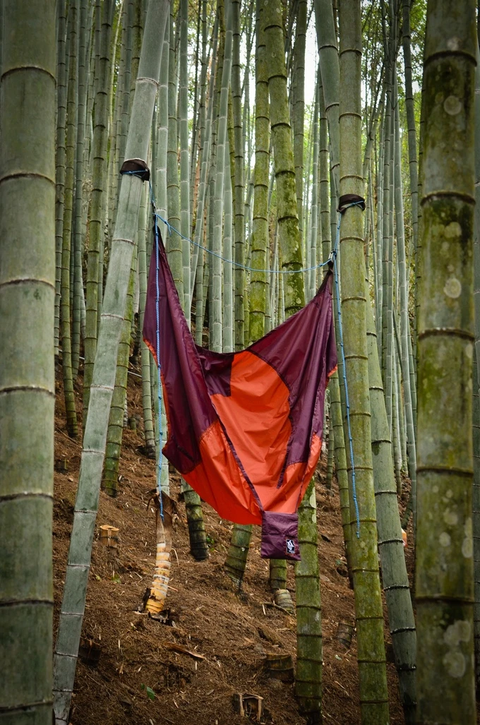 Chammock comes with a set of tree-friendly straps to help you lift you off the ground