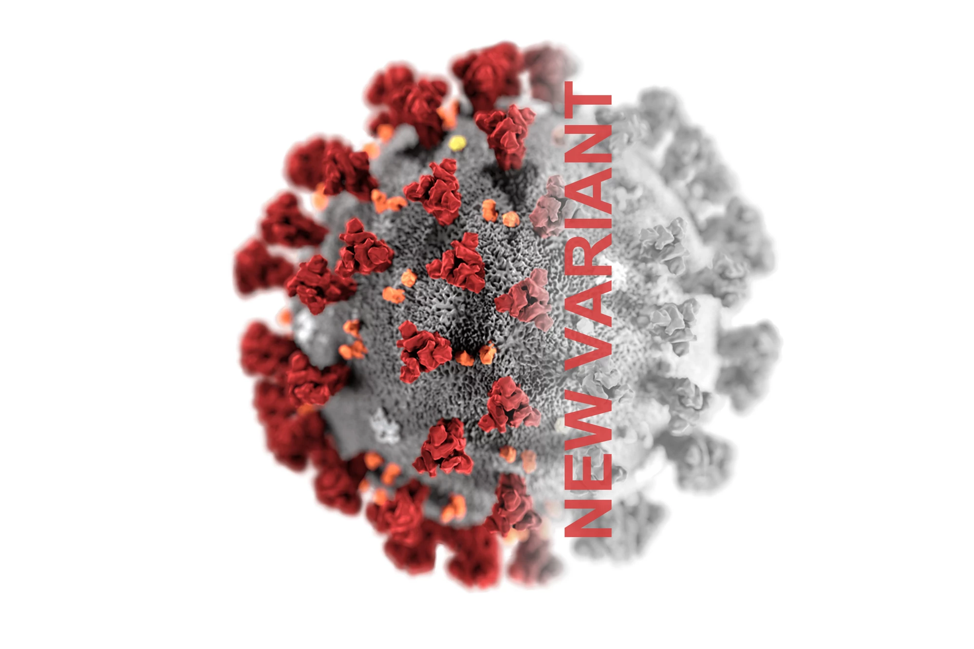 Where did the Omicron variant of SARS-CoV-2 come from, and what does it mean for the future of the pandemic?