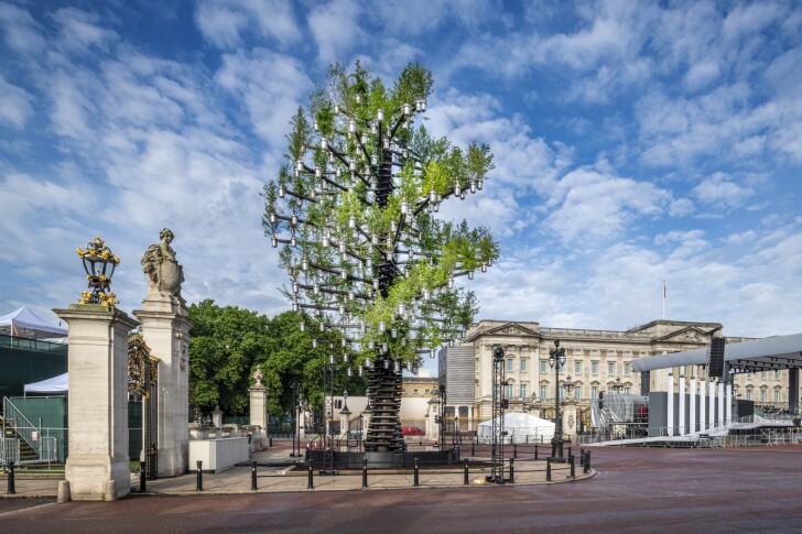 The Tree of Trees rises to a height of 21 m (almost 70 ft) near Buckingham Palace in London, UK
