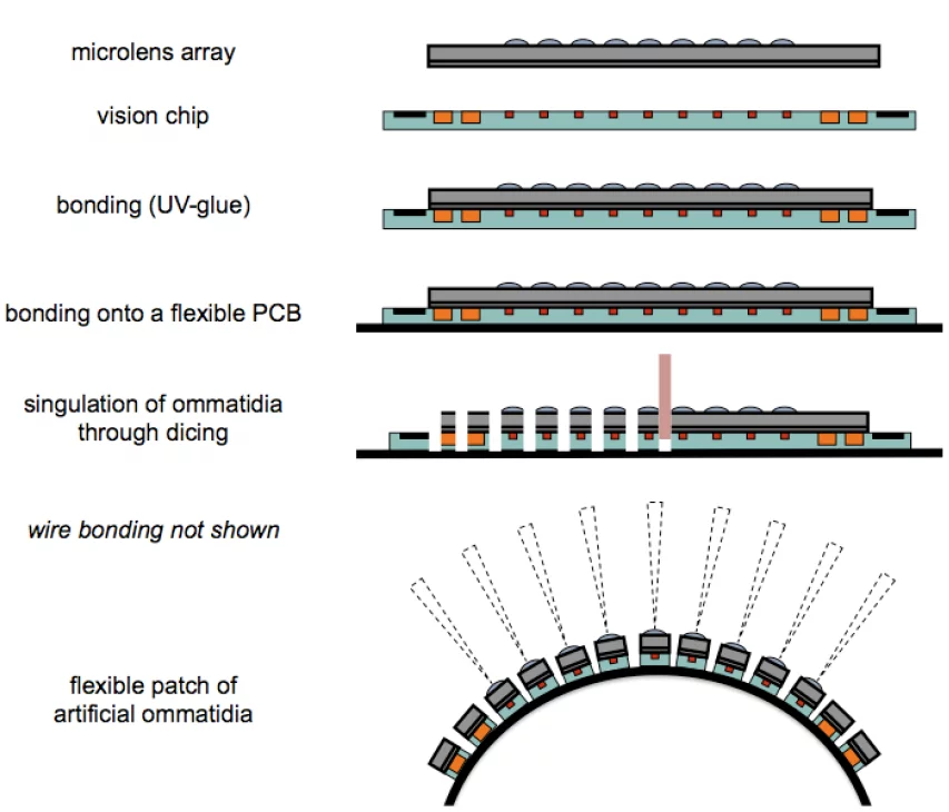 Illustration of steps for the assembly of CurvACE parts