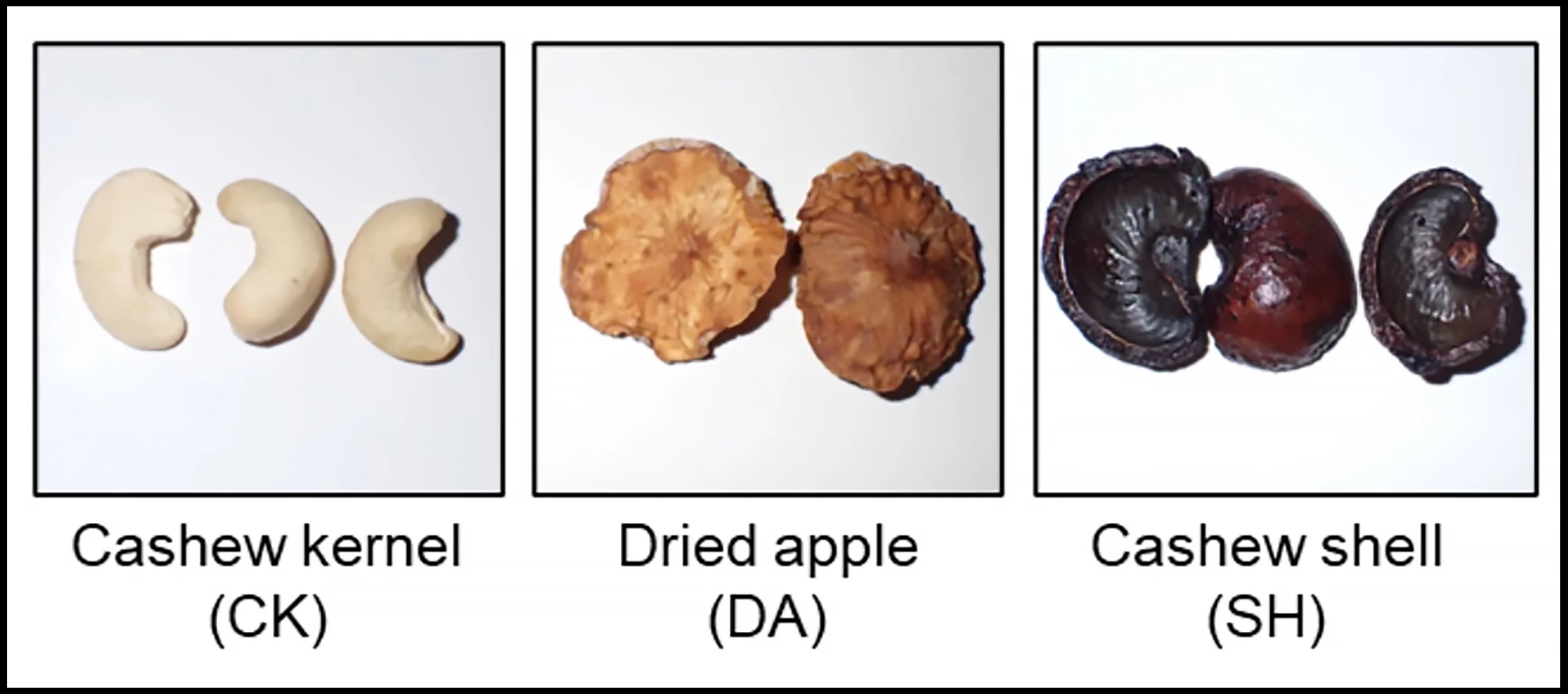 Cashew kernels, dried cashew apples, and cashew shells before extracts were made of them
