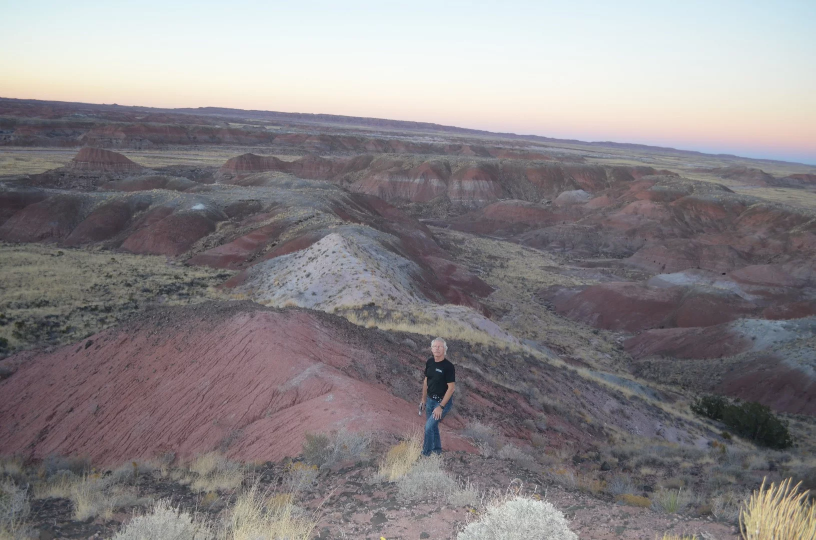 The researchers drilled rock cores from the Petrified Forest National Park in Arizona