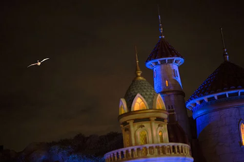 At this time, Disney is billing the dragon's emergence as a "special, one-night appearance," though Disney has stated it could make a surprise return at any time and any place