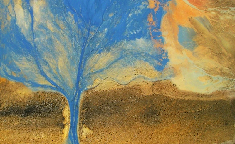 Blue River: Commended in the Nature category