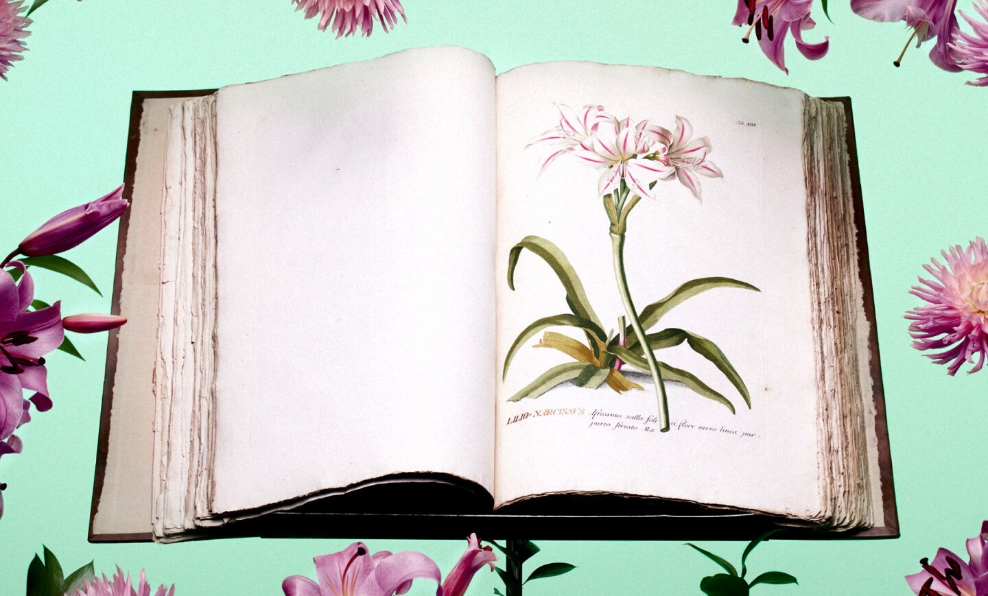 Plantae Selectae by Christoph Jakob Trew and Benedict Christian Vogel sold for $175,000 at a Sothebys auction on October 26, 2017