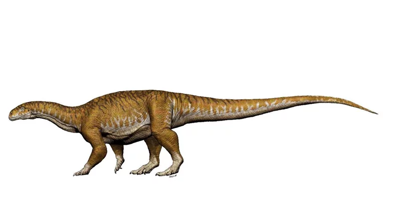 At about 10 tons, Ingentia prima was the first giant dinosaur