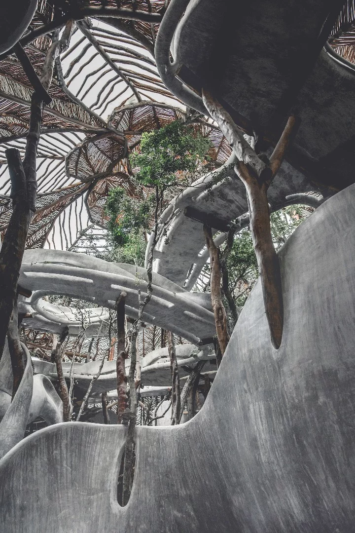 "The construction process is mindful of the carbon footprint and not a single tree has been cut to make space for the buildings, instead the structures embrace the existing vegetation," adds Roth