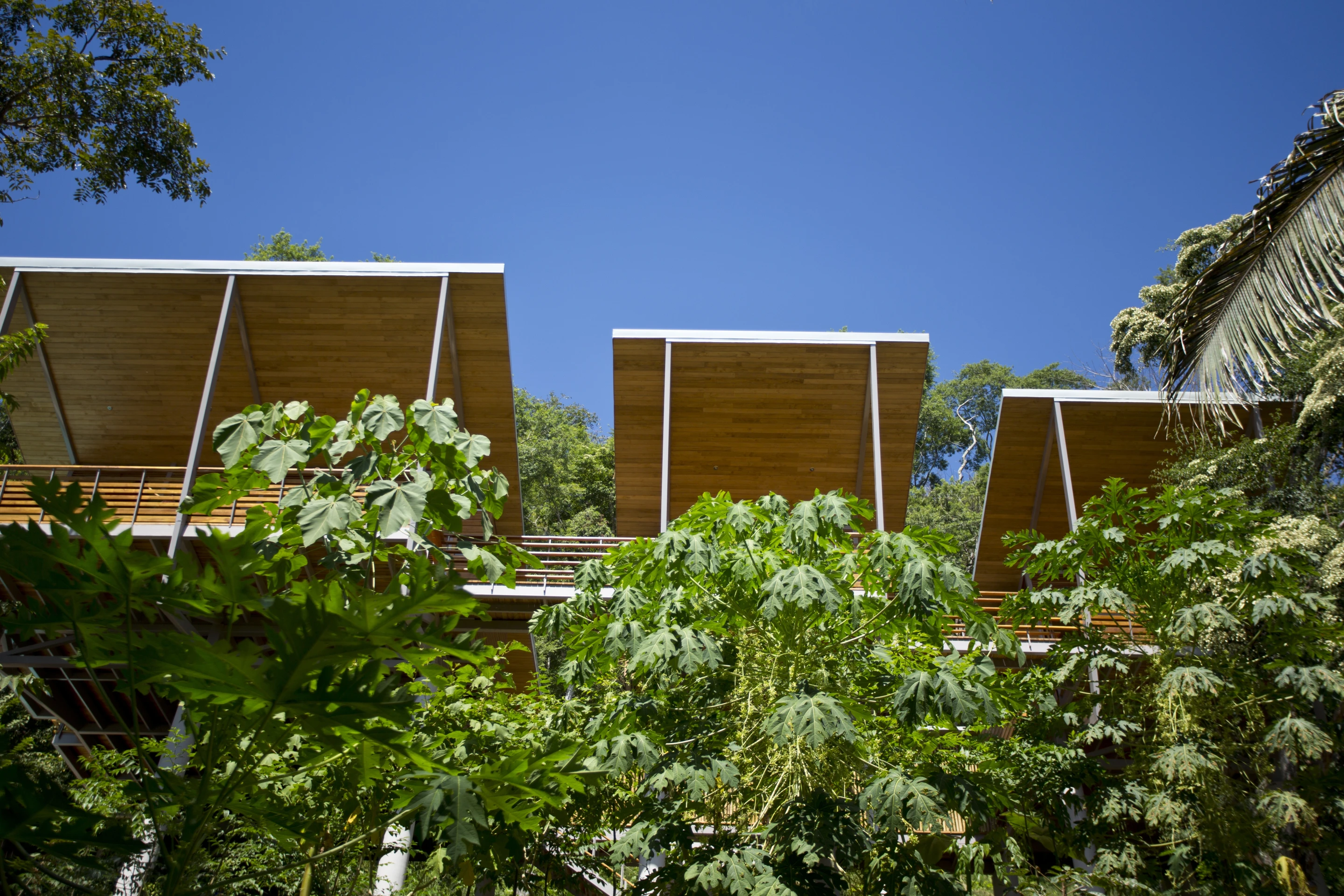 Casa Flotanta is located in Playa Saint Teresa, Costa Rica (Photo: Benjamin Garcia Saxe Architecture)