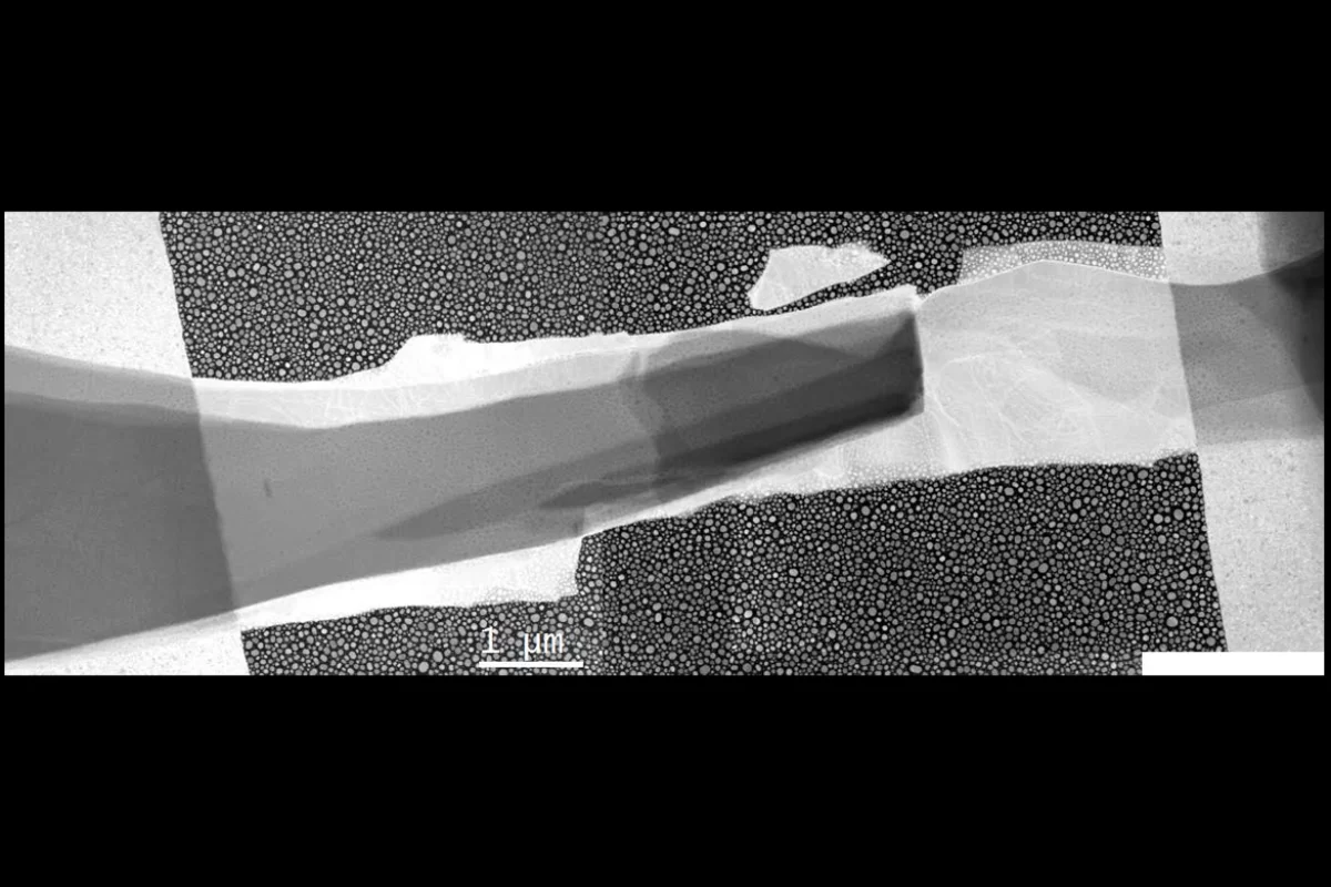 The tiny cooler’s two semiconductors can be seen overlapping at the dark area in the middle, where the thermoelectric cooling effect takes place