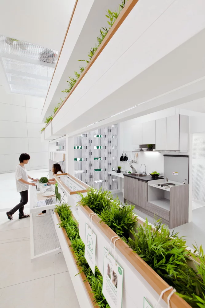Plants have been placed on almost every conceivable spare surface