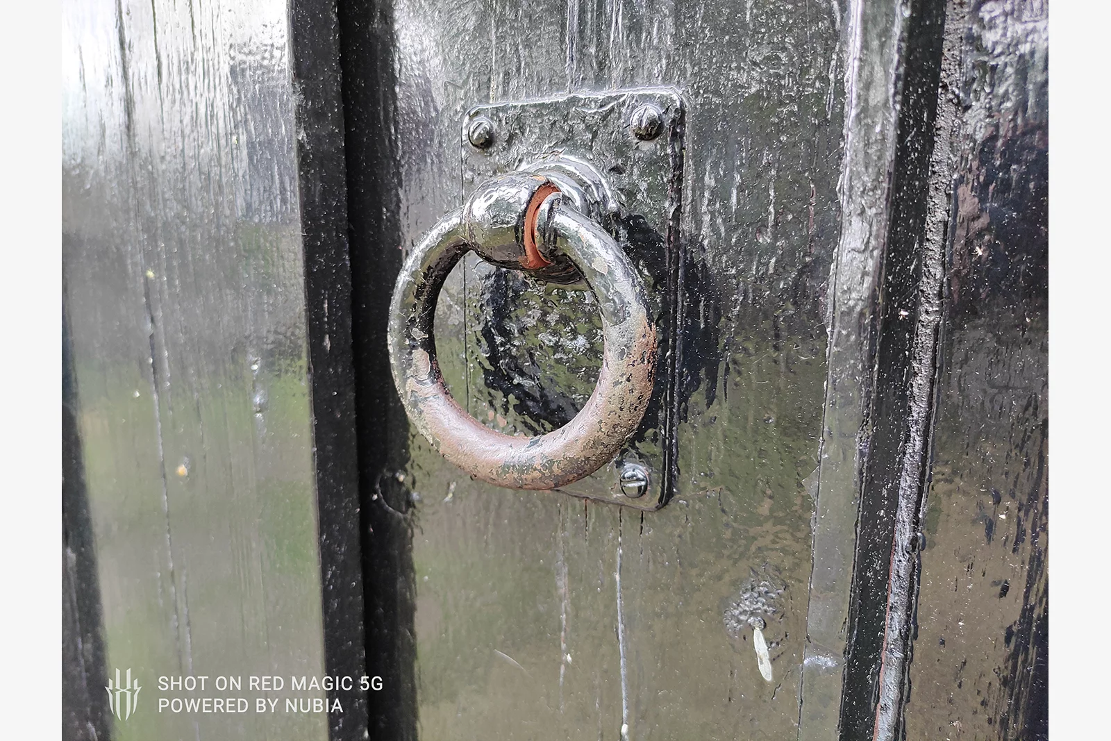 Macro shots typically come out sharp and full of detail