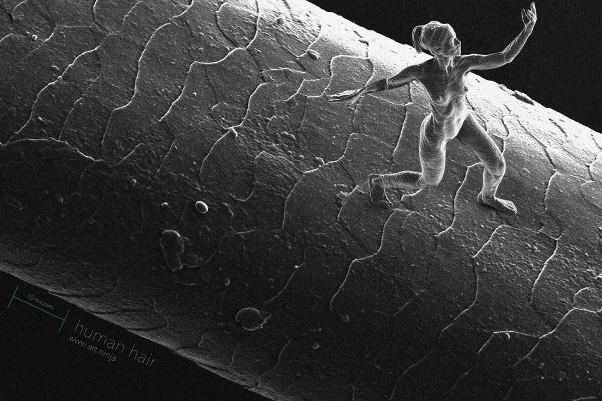 Artist Jonty Hurwitz has created sculptures so tiny that they can only be seen using an electron microscope (Photo: Jonty Hurwitz)