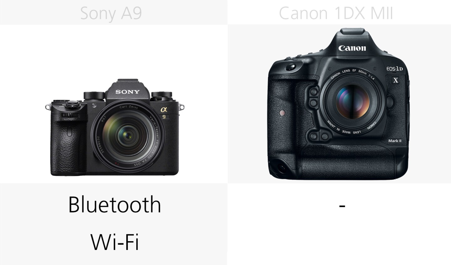 Comparing the wireless conectivity of the Sony A9 and Canon 1DX Mark II